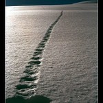 Dlouhá bílá stopa