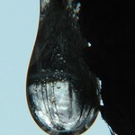 slza 2