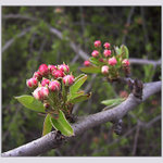 ... jaro je tady :-)))