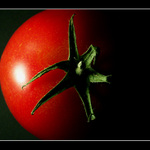 phoTOMATO