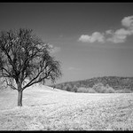 Neprebudena priroda.