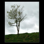 ...před bouřkou...