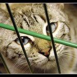 ...ja som tu a ty tam...