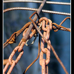 ...ocelove variacie...