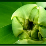 Na rozloucenou......