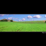 - JAKO V P..................