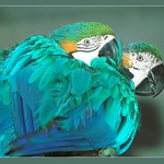 Hele, neruš, my máme jaro! ....