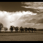 Do you feel the same?