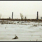 Algografia - Cierna minulost