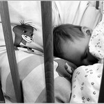 <b>Alex</b> - IV.<br>strazca snov ...