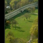 Další, jarní, zelená ...