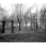 LOMOGRAFIE "Centralnij park  -  gorod Kursk