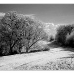 Jarní a slunečný ....