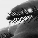 "jeden z okamžiků matky přírody"