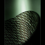 domestic landscapes.........