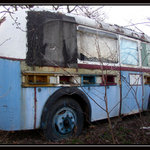 už je přistaven, tak neváhejte - dovolená je za dveřmi pak už bude plno!!