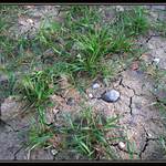 a nezaprší a  nezaprší...