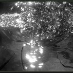 plujem s proudem, nebo proti proudu?