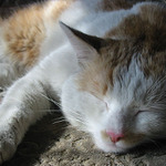 zzz...zzz...