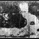 Velikonoční zajíček