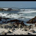 Kde asi ??? Ze by Pacific Grove ???