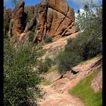 Pinnacles (California)