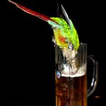 Nacapal jsem ho pri cinu !!!! (spravne vychovanej papuch neboli opilcuv sen)