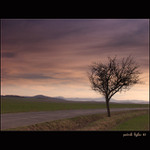 Na Větrné .........