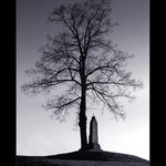 Souputníci............