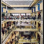 Mraveniště dnešní doby