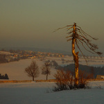 Podvečer na lyžích