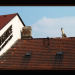 Přitažlivost elegance