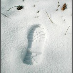 Stopa ve sněhu
