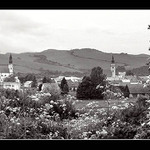 moje mesto