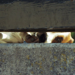 Někudy to musí jít....