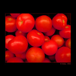3R:"Rajcovni red rajcatka"