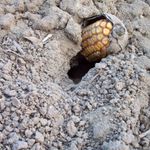 Mys hladna nezostane...