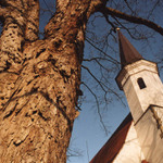 Kostel Sv.Václava
