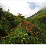 Belianske Tatry