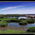 Na západnom pobreží