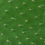 kazdy sa nejak chranime...