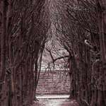 the Gate