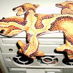 Unavená Agama na počítači :-)