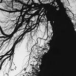 strom