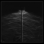 Sněhové světlušky