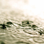 zlaté kapky deště