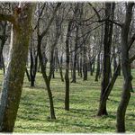 Zamocká záhrada v Hlohovci