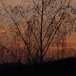 Briza v pozdnim veceru