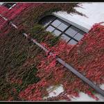 trochu se mi to kácí :-)