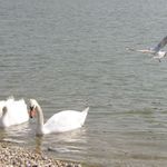 Nedeľné popoludnie na bratislavskej Kuchajde